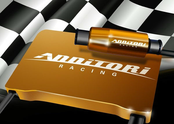 Annitori QS Pro 2 Quickshifter Ducati 998
