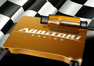 Annitori QS Pro 2 Quickshifter Triumph Speed Triple 1050 2011+